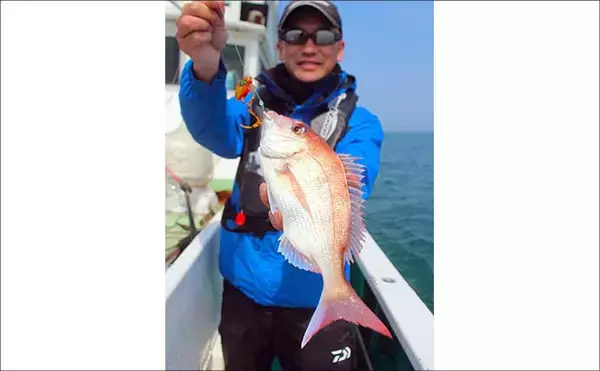 「「これからがシーズン本番！」鳥羽沖タイラバ釣行でマダイ好捕【フィッシュハンター・三重】」の画像