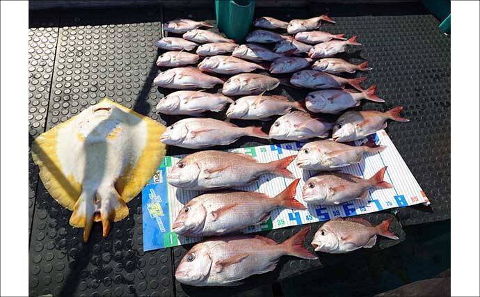 「これからがシーズン本番！」鳥羽沖タイラバ釣行でマダイ好捕【フィッシュハンター・三重】