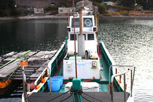 「これからがシーズン本番！」鳥羽沖タイラバ釣行でマダイ好捕【フィッシュハンター・三重】