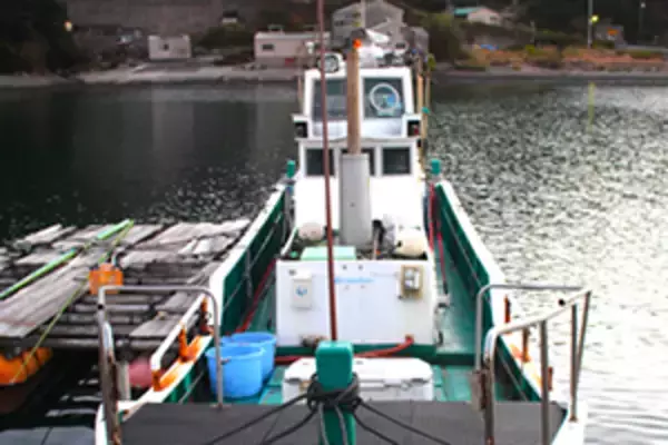 「「これからがシーズン本番！」鳥羽沖タイラバ釣行でマダイ好捕【フィッシュハンター・三重】」の画像