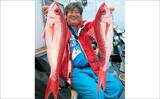 「「ドデカいハチビキが参上！」金洲五目釣りで魚種多彩【船釣り最新釣果8選・愛知／静岡】」の画像2