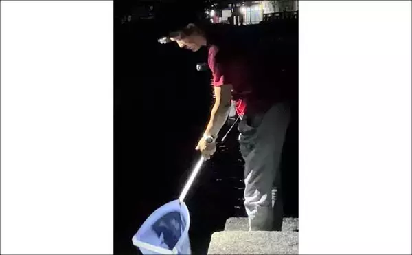 「夜の琵琶湖で川エビ掬い　スジエビ・テナガエビ合わせて1時間で62匹キャッチ！」の画像