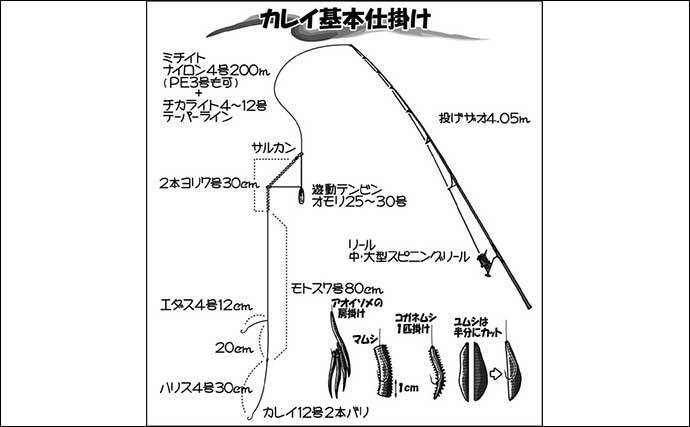 カレイの投げ釣り4つの攻略ポイント 仕掛け 釣り方 釣り場 エサ 22年10月19日 エキサイトニュース 5 8