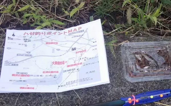 「涸沼川のハゼ釣りで17cm筆頭に良型マハゼ8匹【茨城】シマハゼ猛攻に苦戦」の画像