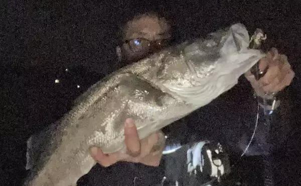 志賀島大岳のサーフゲームで72cmシーバス好捕！【福岡】12cmミノーを丸のみする豪快バイト