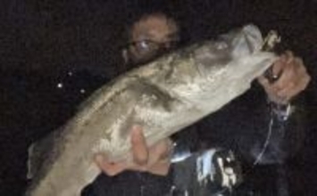 志賀島大岳のサーフゲームで72cmシーバス好捕！【福岡】12cmミノーを丸のみする豪快バイト