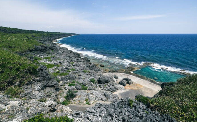 「吸盤を持つゴカイ」に「光るスナギンチャク」　南大東島の深海で発見される新種生物たち