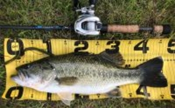 バスロッドのセパレートグリップとは？ 【メリット・デメリット・向いてる釣り方】