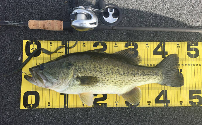 バスロッドのセパレートグリップとは？ 【メリット・デメリット・向いてる釣り方】