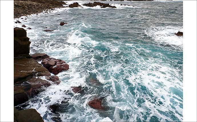 越前海岸の磯シーバスゲームでランカーサイズをキャッチ【福井】日没間際の粘りが奏功