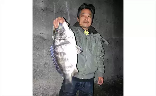 「霞ヶ浦ふ頭でのクロダイプラッギングで本命クロダイにシーバス浮上【三重】」の画像