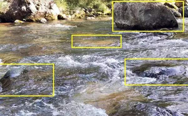 「独特な渓流釣りワード「ウケ」ってなに？　知れば良型キャッチ率がアップ」の画像
