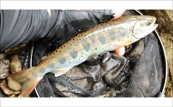 独特な渓流釣りワード「ウケ」ってなに？　知れば良型キャッチ率がアップ