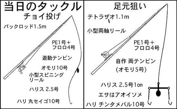 四日市港の夜釣りでアナゴ11匹 竿とリールがなくても釣りは成立 22年7月18日 エキサイトニュース