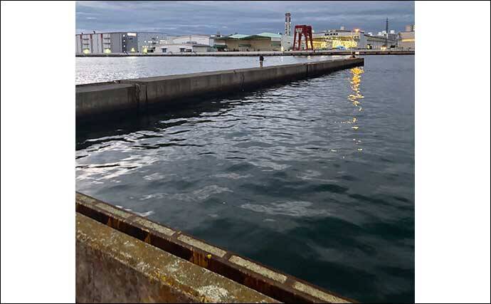 大阪南港釣り場紹介：フェリーターミナル横一本堤防　釣れる魚とエントリー方法を解説