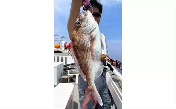 「【船釣り釣果速報】アジ五目便で50cm級大型アジが好反応！（大分・熊本）」の画像