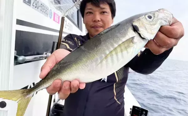 「【船釣り釣果速報】アジ五目便で50cm級大型アジが好反応！（大分・熊本）」の画像