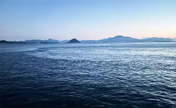 「アジングタックルで秋のロックゲームに挑戦【熊本】スイミングでアコウをゲット！」の画像