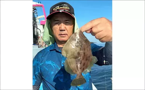 「大分沖のカワハギ釣りで肝パンサイズが続々ヒット！【タイタニック21】中層攻略で大型が連発」の画像