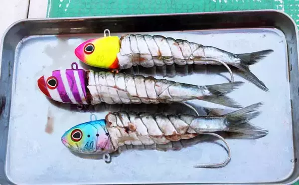 「東京湾のテンヤタチウオ釣りで良型交じり4尾キャッチ【鴨下丸】「止め」で食わせた激渋攻略」の画像