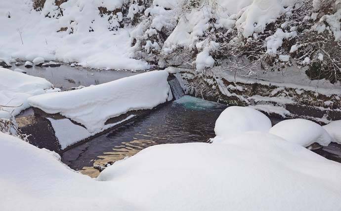解禁直後の長良川渓流釣りでヒレピンアマゴ連発！【岐阜】20cm級頭にツ抜け達成