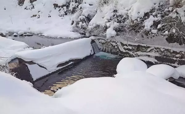 「解禁直後の長良川渓流釣りでヒレピンアマゴ連発！【岐阜】20cm級頭にツ抜け達成」の画像