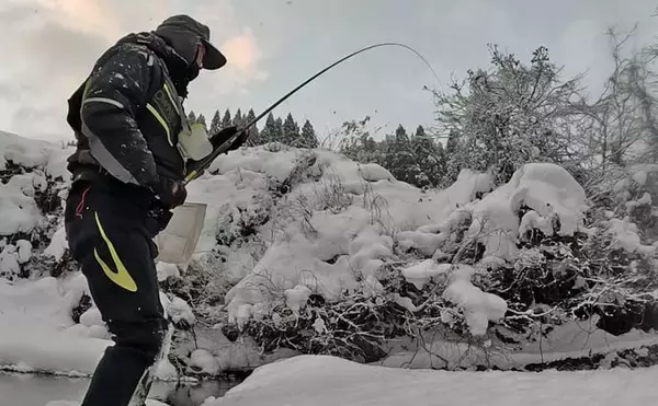 「解禁直後の長良川渓流釣りでヒレピンアマゴ連発！【岐阜】20cm級頭にツ抜け達成」の画像