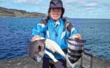 離島の堤防でイシダイ＆イシガキダイを狙う【三宅島】低水温に苦戦も全員安打達成