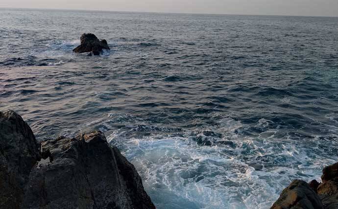 沖磯フカセ釣りで43cm筆頭に良型グレがポツポツ【和歌山】好ゲストにイサキも登場