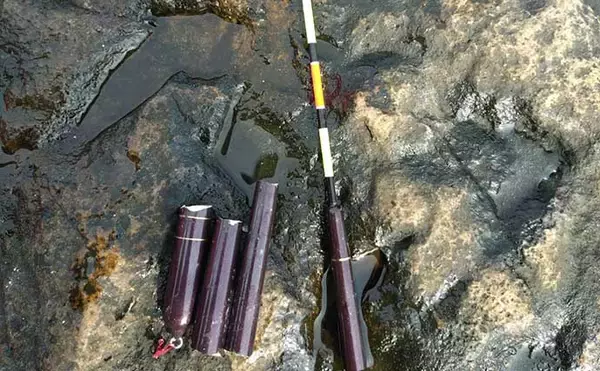 「沖磯フカセ釣りで43cm筆頭に良型グレがポツポツ【和歌山】好ゲストにイサキも登場」の画像