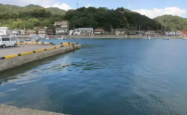 「陸っぱりルアーカマス釣りのススメ 【シーズン・時合い・タックル・ルアー・誘い方を解説】」の画像