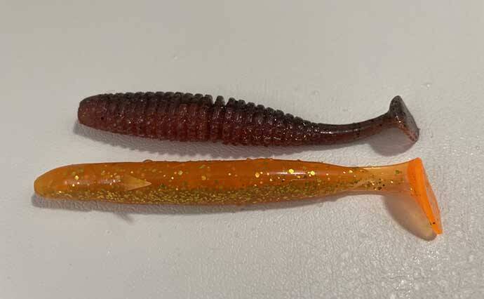 オオモンハタゲーム 中級解説 レンジ攻略はワーム形状が鍵を握る 22年6月17日 エキサイトニュース 2 3 オオモンハタゲーム 中級解説 レンジ攻略はワーム形状が鍵を握る 22年6月17日 エキサイトニュース 2 3