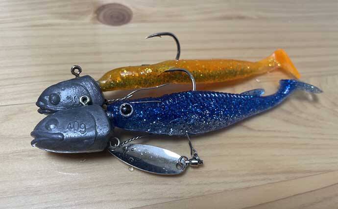 オオモンハタゲーム 中級解説 レンジ攻略はワーム形状が鍵を握る 22年6月17日 エキサイトニュース 3 3 オオモンハタゲーム 中級解説 レンジ攻略はワーム形状が鍵を握る 22年6月17日 エキサイトニュース 3 3