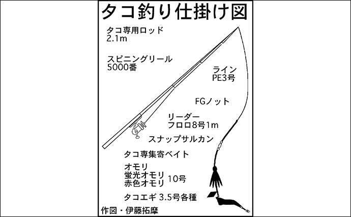 陸っぱりエギタコ釣りでマダコ2匹 いずれも小型で今後に期待しリリース 22年7月18日 エキサイトニュース