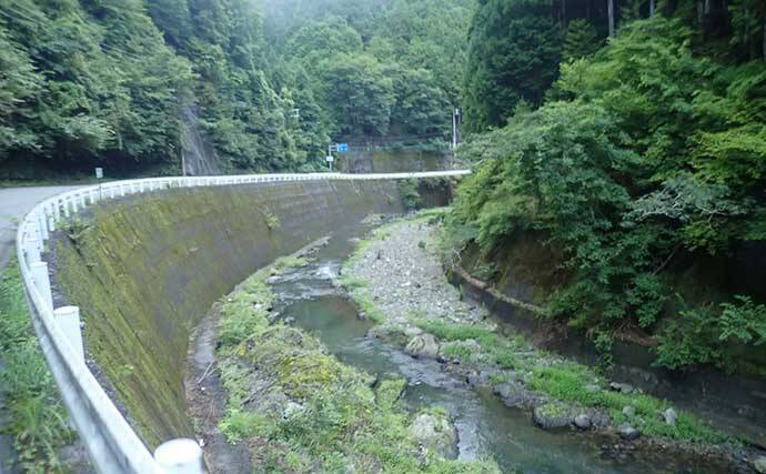 奈良・中原川で渓流ルアー釣りでアマゴ7匹　濁りで警戒心薄れて連発も