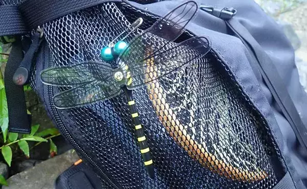 「奈良・中原川で渓流ルアー釣りでアマゴ7匹　濁りで警戒心薄れて連発も」の画像