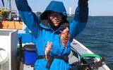 「カサゴ船で25cm頭にトップ23匹【愛知・まとばや】水深50mの深場で連発」の画像1
