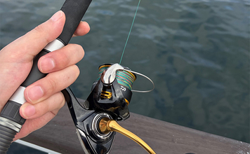 ライトショアジギング超入門（LSJ）　天気と潮回りで魚の釣れやすさが変わるって本当？