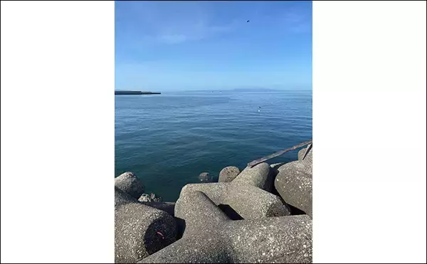 「ライトショアジギング超入門（LSJ）　天気と潮回りで魚の釣れやすさが変わるって本当？」の画像