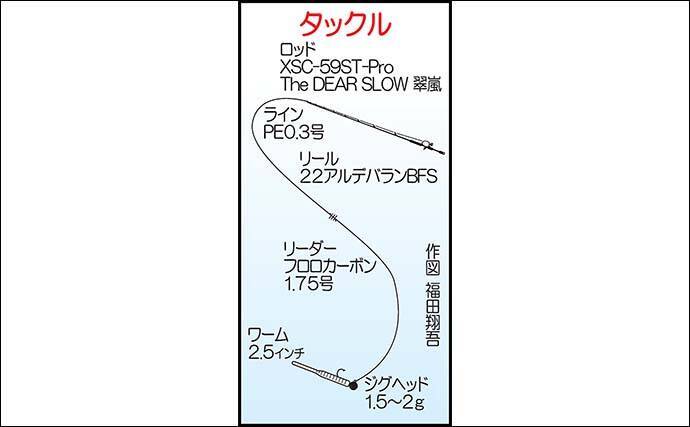 ライトゲームでアコウ5尾キャッチ【福岡・新宮港】メバル不発も根魚が好反応