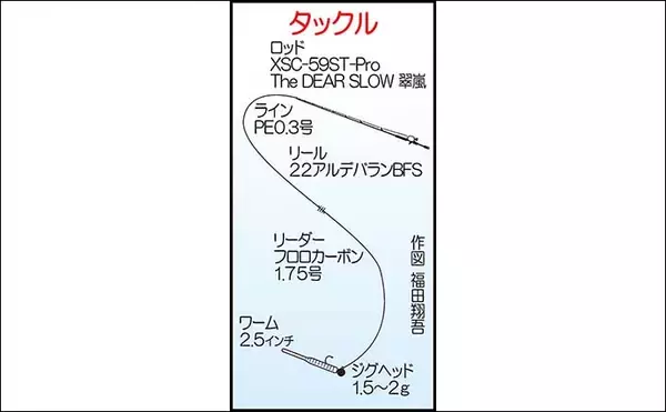「ライトゲームでアコウ5尾キャッチ【福岡・新宮港】メバル不発も根魚が好反応」の画像