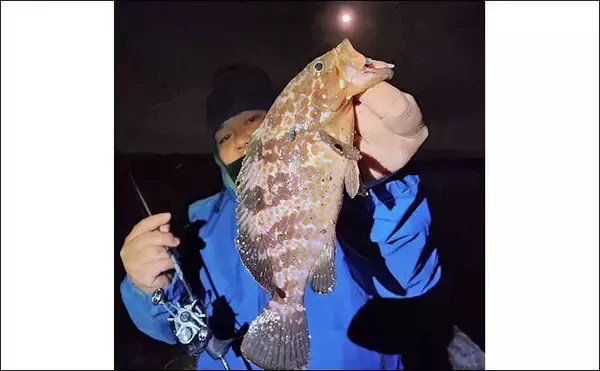 「ライトゲームでアコウ5尾キャッチ【福岡・新宮港】メバル不発も根魚が好反応」の画像