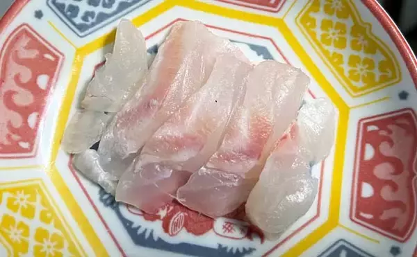 「磯釣りの外道代表『サンノジ』を食べてみた　刺身ではなく揚げ物がオススメ」の画像
