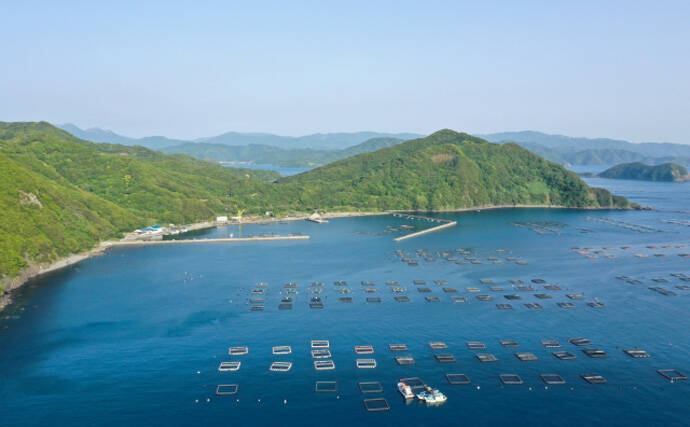 ペルーでアンチョビが高騰すると日本でブリやマダイの値段が上がるワケ