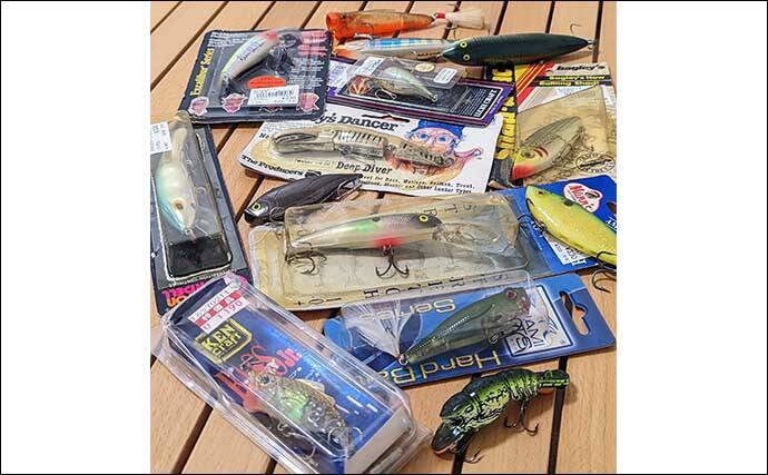 読むだけでも楽しめる【ちょっと変わったバスルアー書籍】～エグりへの誘い～