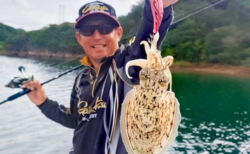 「青物猛攻を制す!」迫間浦の筏エギング懇親会でコウイカ520gを釣り上げて優勝【三重】