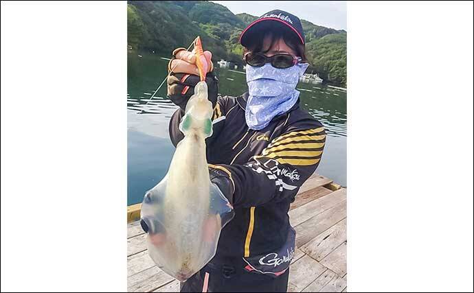 「青物猛攻を制す！」迫間浦の筏エギング懇親会でコウイカ520gを釣り上げて優勝【三重】