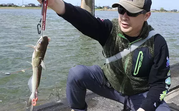 ファミリーフィッシングで手軽に大物釣りたいなら【アメリカナマズ釣りで決まり！】