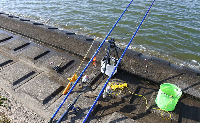 ファミリーフィッシングで手軽に大物釣りたいなら【アメリカナマズ釣りで決まり！】