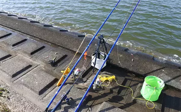 「ファミリーフィッシングで手軽に大物釣りたいなら【アメリカナマズ釣りで決まり！】」の画像